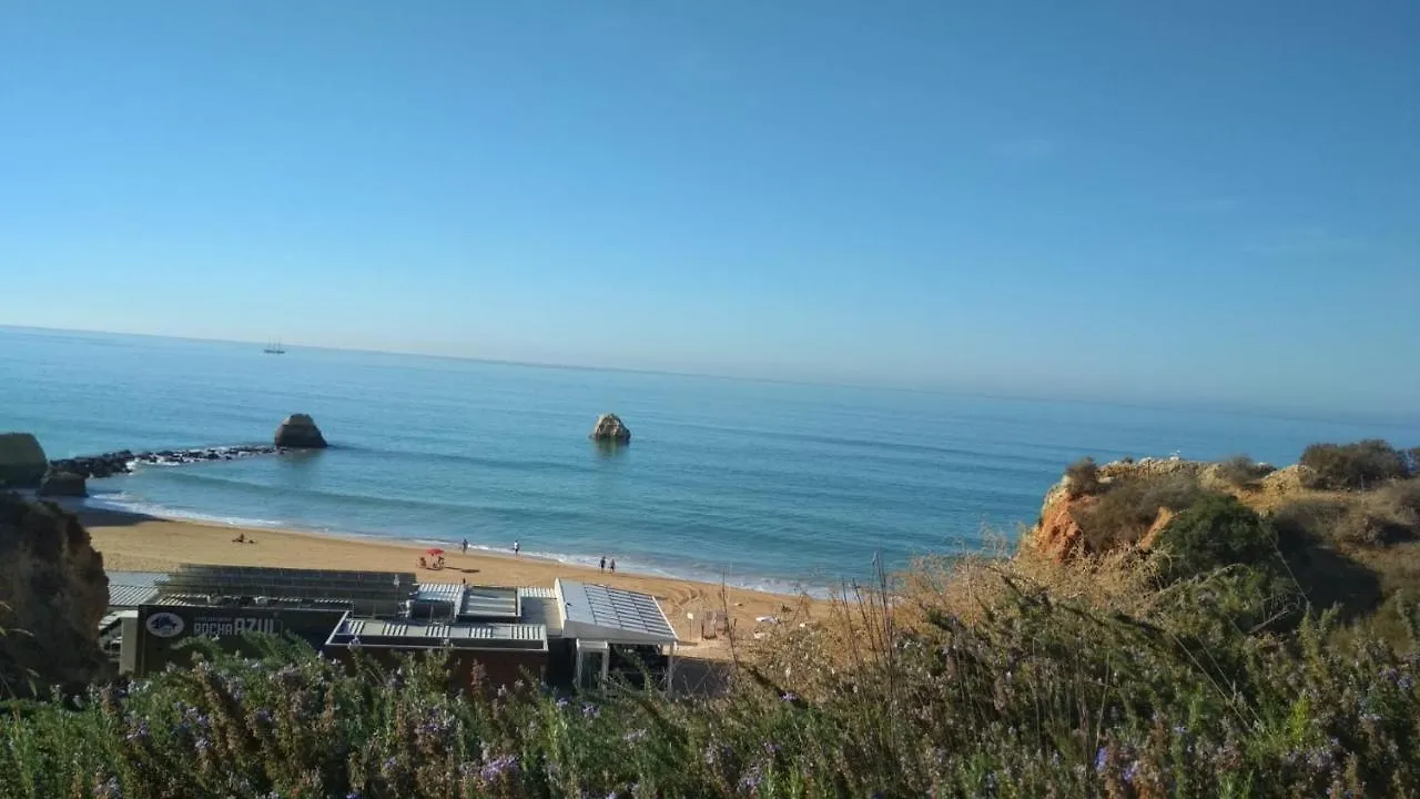 Albur Village B - Camomile Alvor