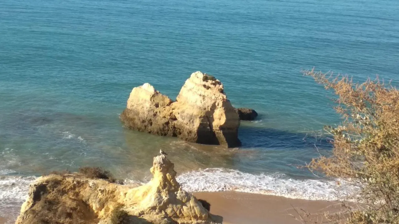 Apartamento Albur Village B - Camomile Alvor